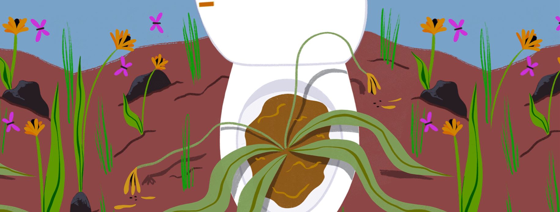 The Many Colors of Cystic Fibrosis: Brown (Part 2)
